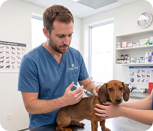 Vaccinations